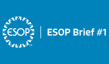 Get a concise overview of the benefits ESOPs provide and what it takes to set one up.