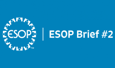 Get a quick overview on what is involved in establishing an ESOP at your company.